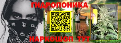 соль ск Ипатово
